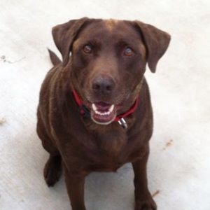 Meet your Posher, Karman